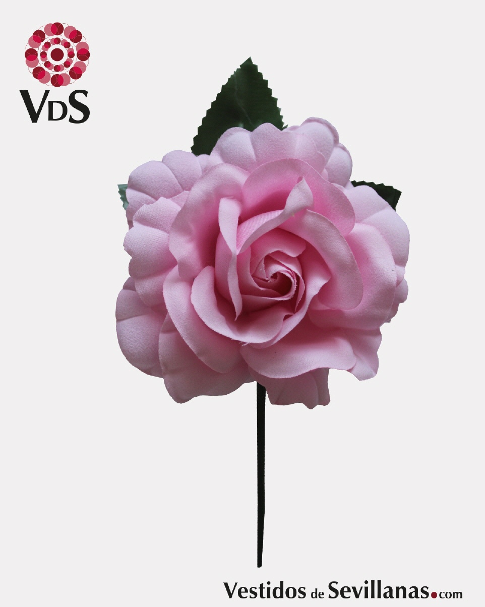 Flor  J&Aacute;NDULA Tallo T.M_3col